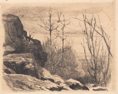 Placa de prueba: Paisaje con rocas y árboles de Frans Schwartz