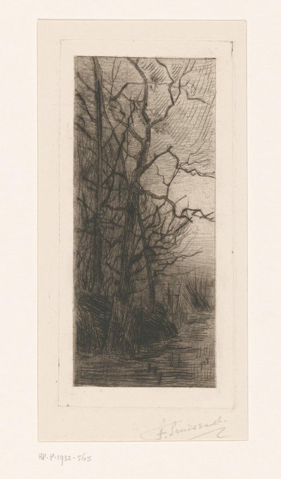 Árboles junto al agua de Frans Smissaert (signed by artist)