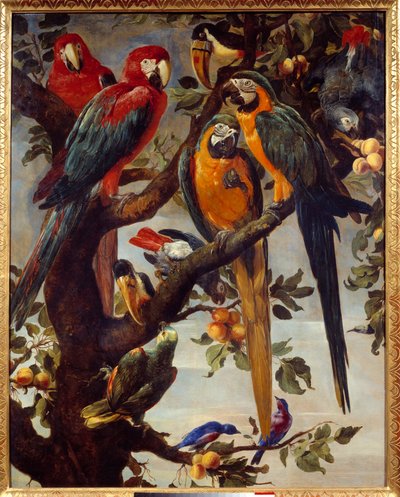 Loros y otras aves de Frans Snyders