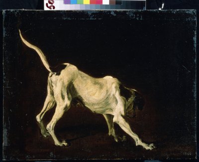 Perro (Un perro). Pintura de Frans Snyders (1579-1657). Óleo sobre tela de Frans Snyders or Snijders