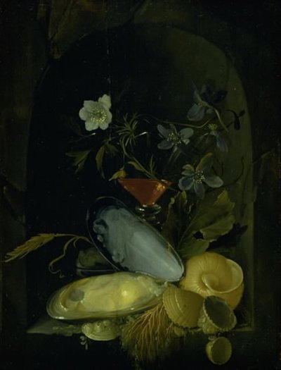 Naturaleza muerta con conchas y anémonas azules de Frans van I Mieris