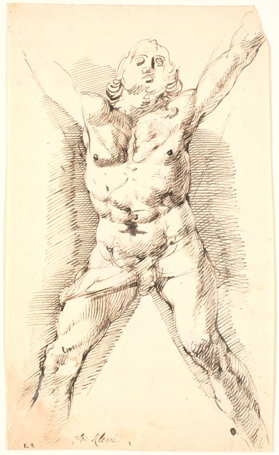San Andrés crucificado de Frantz Cleyn
