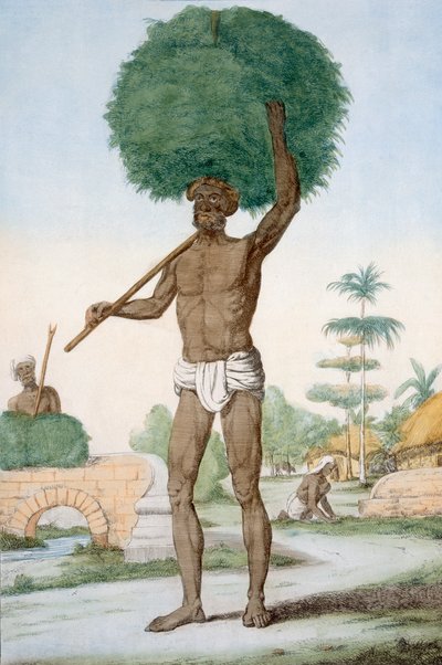 Sirviente hindú cortando hierba, 
