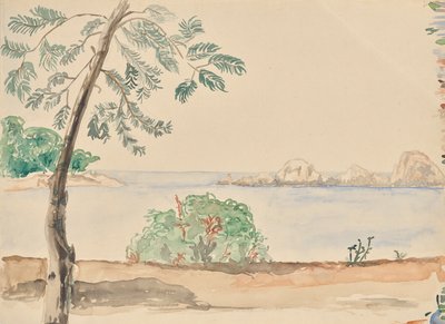 costa en florida (?) de Franz Barwig d. Ä.