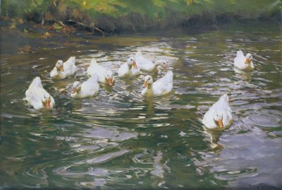 Patos blancos en el agua de Franz Grassel