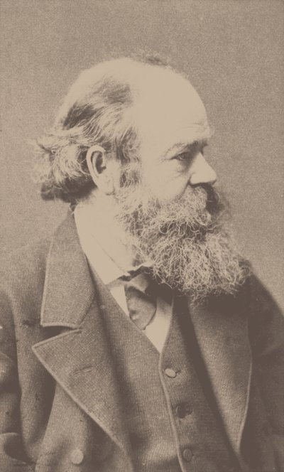 Retrato del compositor Robert von Hornstein de Franz Hanfstaengl