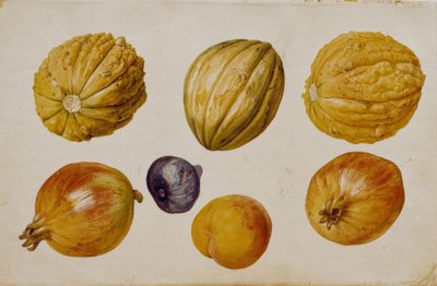 Estudios de frutas de Franz Horny