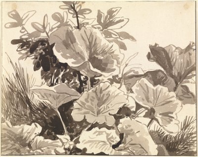 Estudio de las hojas de dactilo de Franz Innocenz Kobell