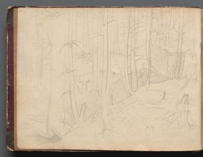 Álbum con vistas de Roma y alrededores, estudios de paisajes, página 01b: Paisaje romano de Franz Johann Heinrich Nadorp