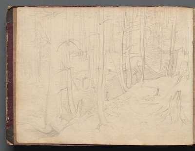 Álbum con Vistas de Roma y Alrededores, Estudios de Paisaje, página 01b: Paisaje romano de Franz Johann Heinrich Nadorp