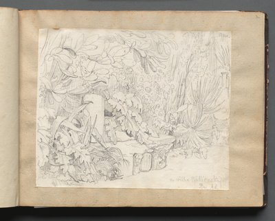 Album with Views of Rome and Surroundings, Landscape Studies, page 03a: In villa Walkonsky de Franz Johann Heinrich Nadorp