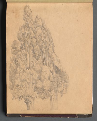 Álbum con vistas de Roma y alrededores, estudios de paisajes, página 13a: Árboles de Franz Johann Heinrich Nadorp