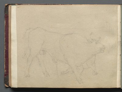 Álbum con vistas de Roma y alrededores, estudios de paisajes, página 51b: Estudio de un toro de Franz Johann Heinrich Nadorp