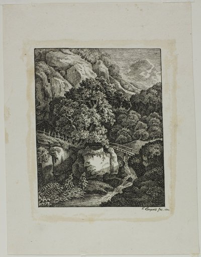 Paisaje montañoso boscoso con una pequeña cascada y sendero de Franz Joseph Leopold