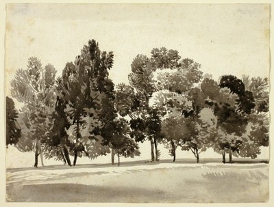 Arboleda de árboles frondosos de Franz Kobell