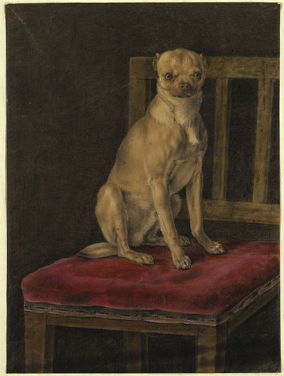 Carlino de Franz Krüger