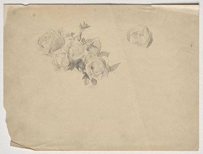 Rosenstudio de Franz von Matsch