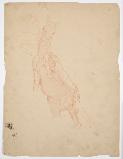 Estudios de un caballo encabritado de Franz von Matsch