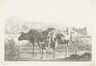 Dos vacas bebiendo de Frédéric Théodore Faber
