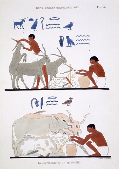 Obra veterinaria, procedente de un raro registro de frescos de Tebas, registrado en 1819-1822 en su segunda visita a Egipto por Frédéric Cailliaud (1787-1869), litografía en color de Frederic (after) Cailliaud