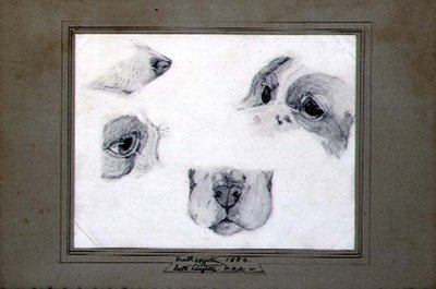 Estudios del perro del artista de Frederic (attr. to) Leighton