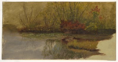 Un rincón de un estanque de Frederic Edwin Church