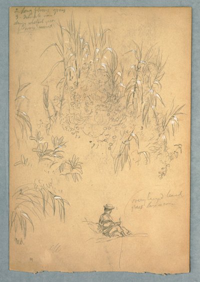 Estudio detallado de un hombre sentado y un grupo de plantas, Ecuador de Frederic Edwin Church