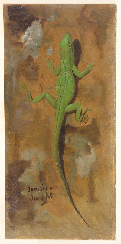 Un lagarto, Jamaica de Frederic Edwin Church