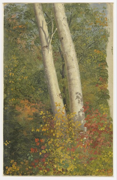 Abedules en otoño de Frederic Edwin Church