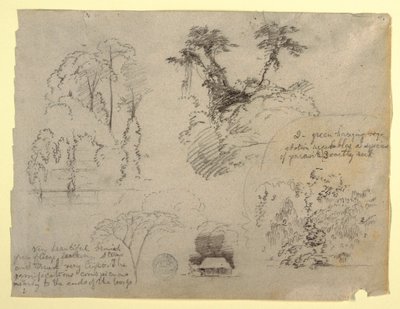 Estudios botánicos y una casa, probablemente de Colombia de Frederic Edwin Church