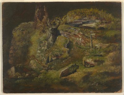 Roca en el bosque de Frederic Edwin Church