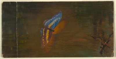 Mariposa sobre el Agua de Frederic Edwin Church