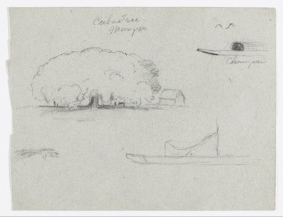 Árbol de Ceiba en Mompos, Canoa Champan, Árboles, y un Barco Parcial, Río Magdelena, Colombia de Frederic Edwin Church
