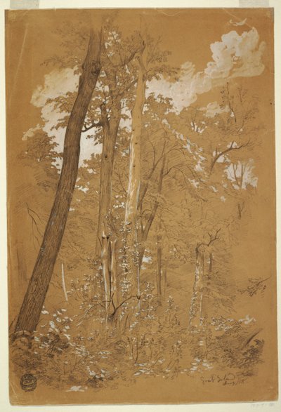 Castaños en Goat Island, río Niágara, Nueva York de Frederic Edwin Church