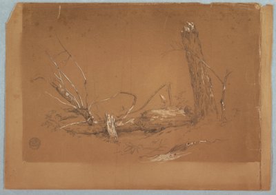 Dibujo, Un árbol muerto roto, 1855-65 de Frederic Edwin Church
