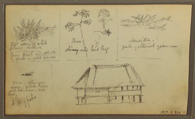 Dibujo, Un fuerte; reverso: Bocetos botánicos, Casa, 1857 de Frederic Edwin Church
