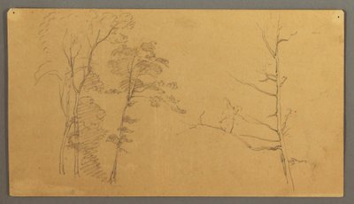 Dibujo, Un grupo de árboles con la parte superior de un árbol muerto., 1866 de Frederic Edwin Church