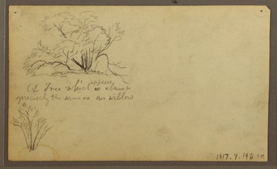 Dibujo, Una cabaña sobre postes, Guayaquil, Ecuador, mayo de 1857 de Frederic Edwin Church