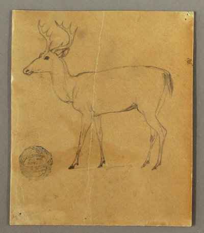 Dibujo, Un ciervo de pie, ca. 1850 de Frederic Edwin Church