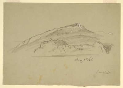 Dibujo, Un árbol, Baviera, 8 de agosto de 1868 de Frederic Edwin Church
