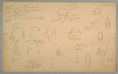 Dibujo, Estudios anatómicos, 1865-70 de Frederic Edwin Church