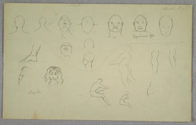 Dibujo, Estudios anatómicos, 1865-70 de Frederic Edwin Church