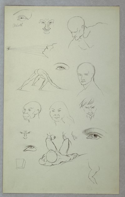 Dibujo, Estudios anatómicos, 1865-70 de Frederic Edwin Church