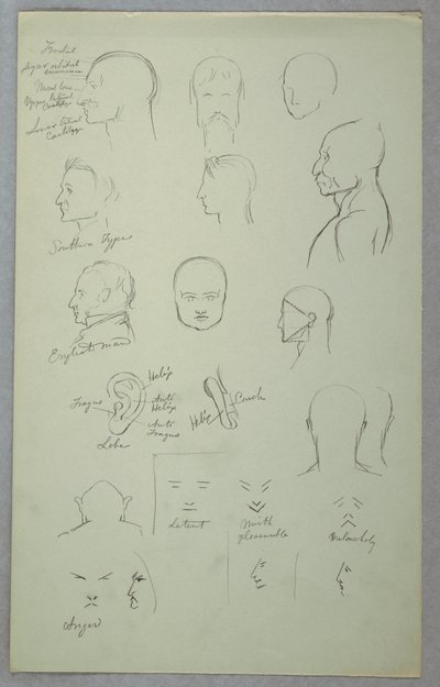 Dibujo, Estudios anatómicos, 1865-70 de Frederic Edwin Church
