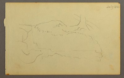 Dibujo, Base de un árbol, cantos rodados, 1844 de Frederic Edwin Church