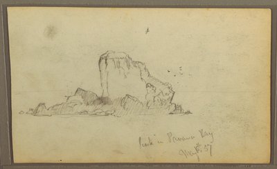 Dibujo, Bireds, "Rock in Panama Bay"; Verso: "Heavy Vines", 15 de mayo de 1857 de Frederic Edwin Church