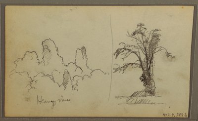 Dibujo, Bireds, "Rock in Panama Bay"; Verso: "Heavy Vines", 15 de mayo de 1857 de Frederic Edwin Church