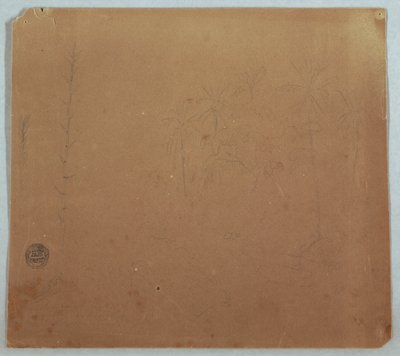 Dibujo, Bocetos botánicos, Posiblemente bambúes, palmeras y arbustos, Ecuador o Colombia, 1853 o 1857 de Frederic Edwin Church