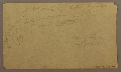 Dibujo, Bocetos botánicos; Verso: Nubes, julio de 1865 de Frederic Edwin Church