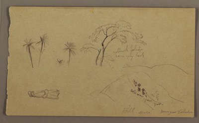 Dibujo, bocetos botánicos, figura, mayo-agosto de 1865 de Frederic Edwin Church